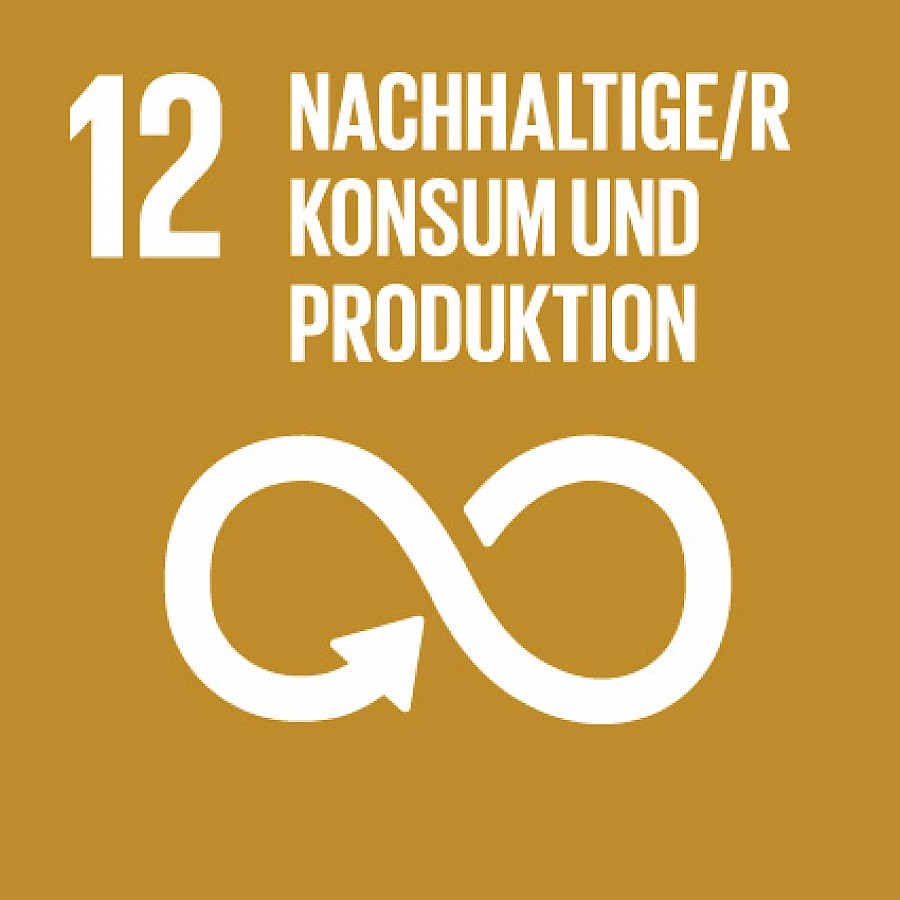 Icon zu SDG 12
